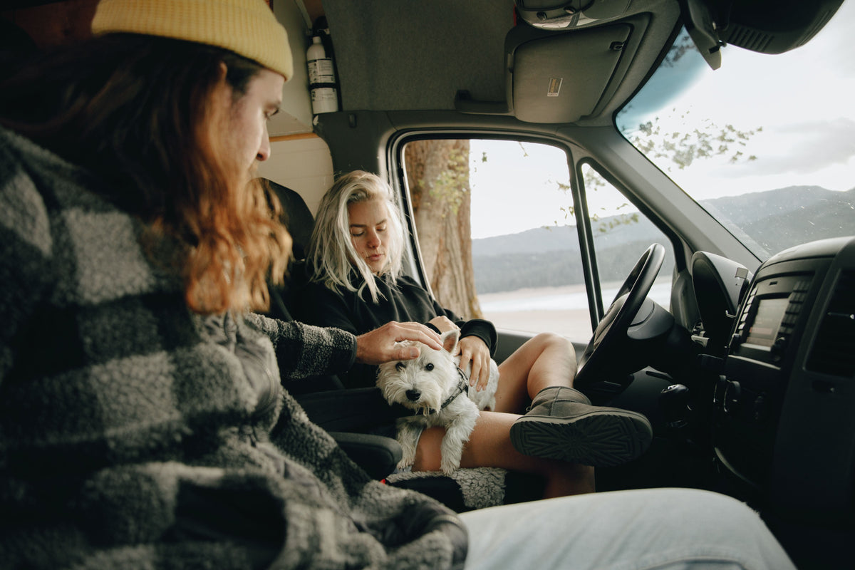 Travel & Mobility
